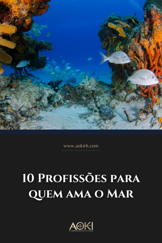 10 Profissões para quem ama o Mar