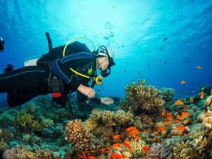 Leia mais sobre o artigo 10 Profissões para quem ama o Mar