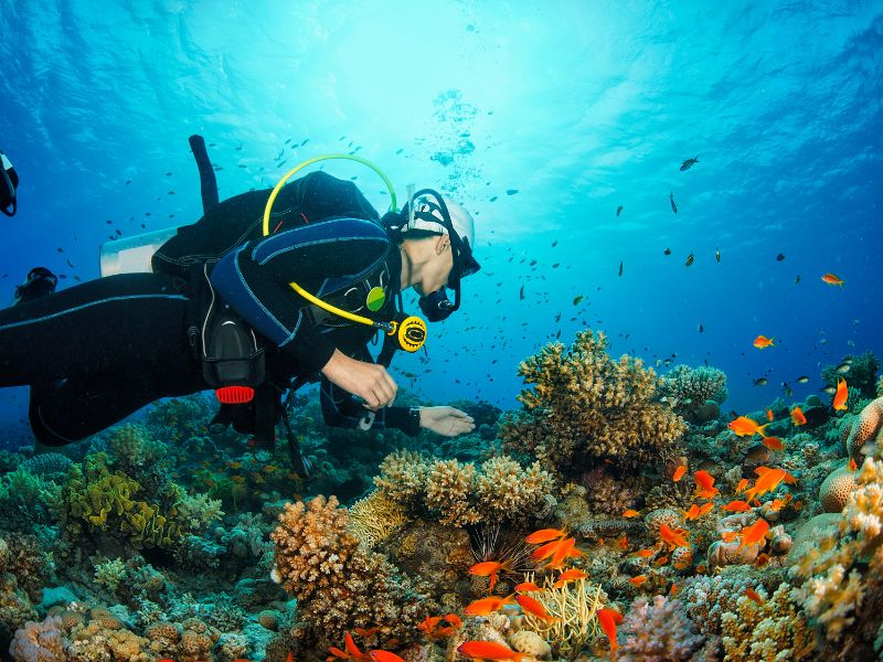 No momento, você está visualizando 10 Profissões para quem ama o Mar