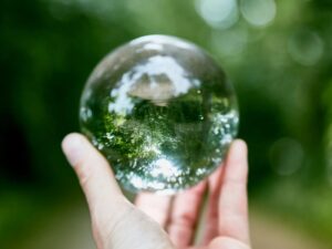 Leia mais sobre o artigo 13 Profissões que trabalham na natureza