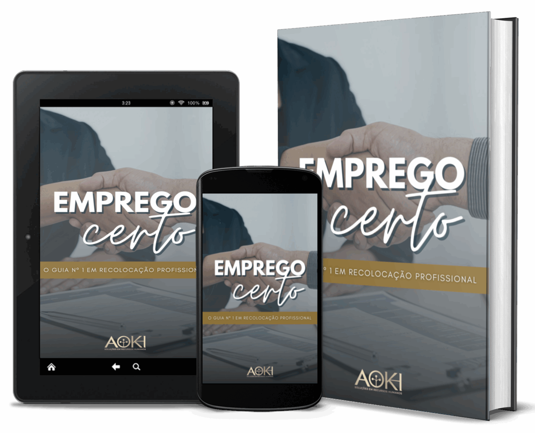 Guia Emprego Certo